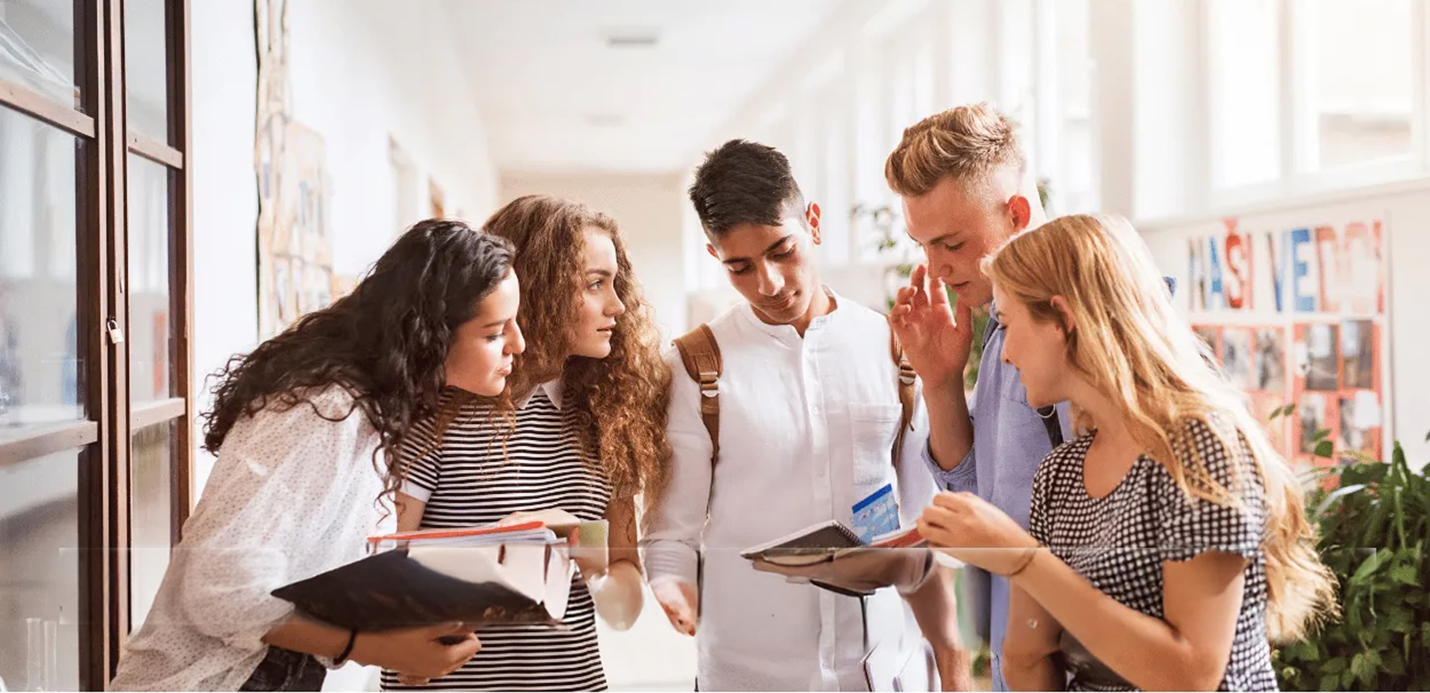 Your Academic Potential background